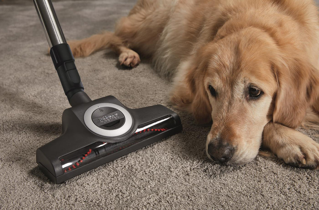 MIELE BOOST CX1 CAT AND DOG COMPACT BAGLESS VACUUM - 41NCE031CDN